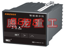 溫度表、數(shù)字顯示儀、濕度表