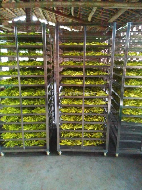 黃花菜烘干機、黃花菜烘干設(shè)備、黃花菜干燥機、黃花菜干燥設(shè)備、